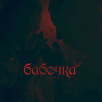 Бабочка_L-Jane
