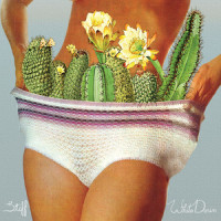 Had 2 Know (Personal)_White Denim