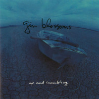 Keli Richards_Gin Blossoms