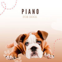 Funny_Piano Peace,Pet Music Therapy,Pets Love Music