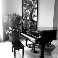 Gymnopedie No. 1_FahrOut Music,Erik Satie