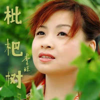 枇杷树_李琼
