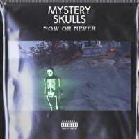Nothing Can Stop Us Now_Mystery Skulls