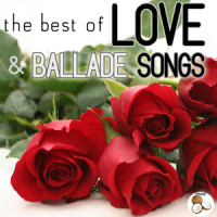 I KNEW I LOVED YOU_The Band