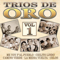 El Amor De Mi Bohio_Trío Matamoros,Trio San Juan