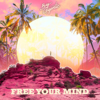 Free Your Mind_Big Gigantic,Jennifer Hartswick