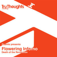 Make Dub Not War_Quantic,Flowering Inferno