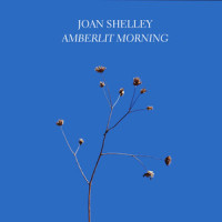 Amberlit Morning_Joan Shelley