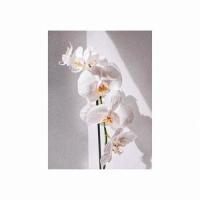 A LULLABY FOR USHER RAYMOND(feat. Afterhours)_Genesis Grey,Afterhours