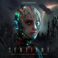 Ten Years_Evolving Sound,Mike Reed,Nik Ammar