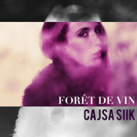 White Noise_Cajsa Siik,Forêt de Vin
