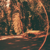 Friday Night_Beth Orton