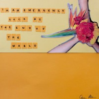 In an Emergency Such as the End of the World_Chase Petra