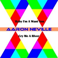 Cry Me a River_Aaron Neville