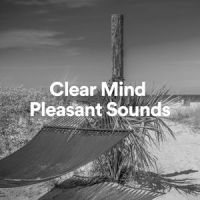 Clear Mind Pleasant Sounds, Pt. 20_White Noise