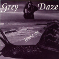 Spin_Grey Daze