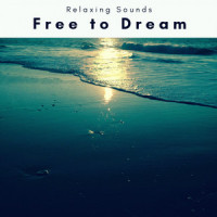 Joy of Relaxation Music Pt. 3(feat. Focus, Sleep Tech & Creatress)_Sleep Magic,Focus,Sleep Tech,Creatress