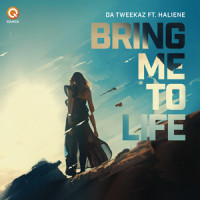 Bring Me To Life_Da Tweekaz,HALIENE