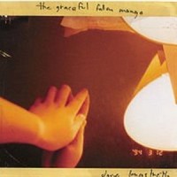 The Graceful-Fallen Mango_Dirty Projectors
