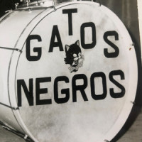 Jhonny B Good_Los Gatos Negros,Chuck Berry