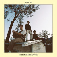 Marvelous_Wallows