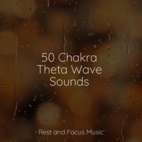 Memories_Study Music & Sounds,Sounds of Nature White Noise for Mindfulness Meditation and Relaxation,Sleepy Times