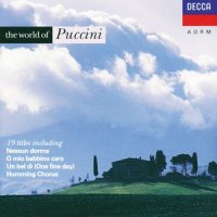 Nessun Dorma! (今夜无人入眠)_Giuseppe Di Stefano,Orchestra dell'Accademia Nazionale di Santa Cecilia,Franco Patané
