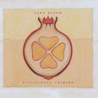 Can We Stay_Luka Bloom