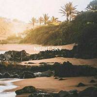 Night Sky_This Band