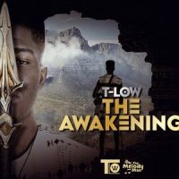 Thoko(feat. Willz)_T-Low,Willz