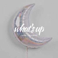 What's Up_Luna Palumbo,4 Non Blondes