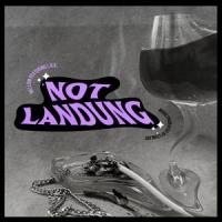 Notlandung (feat. Leon Luge & L.N.K.)_Mellow,Leon Luge,L.N.K.