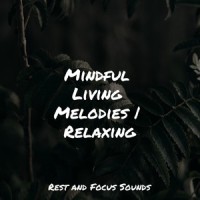 Carried by the Breeze_Sounds of Nature White Noise for Mindfulness Meditation and Relaxation,Sleepy Times,Sound Sleeping