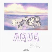 aqua_o.t x ploty,Элджей