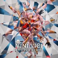 Anything & Everything_Vini Vici,Pixel