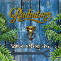 I Got a Buzz On_The Radiators