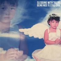 A Floppy Disk Worth of Song_Sledding With Tigers