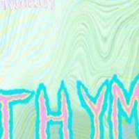 Palms_Numbered Authority