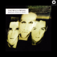 Now And Forever_The Wild Swans