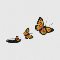 I'll Fly_Of Good Nature