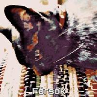 Försök_Ed Y Los Nadie