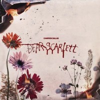 Comets Interlude_Cameron Dallas