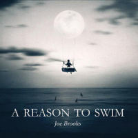 Holes Inside_Joe Brooks