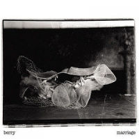 Silver Rose_Berry