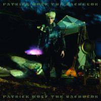 Who Will?_Patrick Wolf