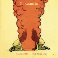 Pond Song_Dinosaur Jr.