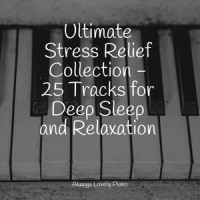 Life is Welcome_Concentrate with Classical Piano,Piano Pianissimo,Piano Time