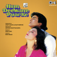 Humne Tumko Apna Banaya_Alka Yagnik,Kumar Sanu