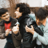Jungle_BB Brunes