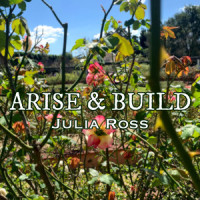 Arise & Build_Julia Ross